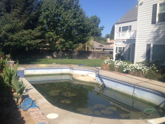 BEFORE AND AFTER - We cleaned this entire pool in one day.