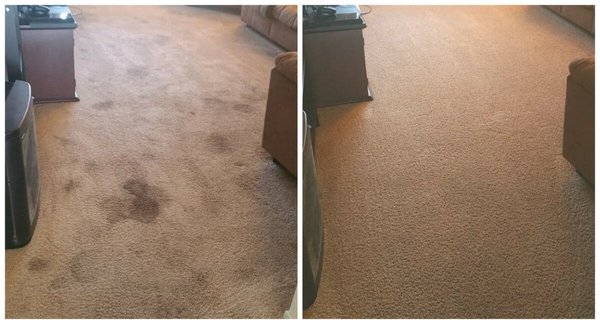 Carpet Cleaning - Superior Clean Pro provides the Community with exceptionally superior commercial and residential cleaning services compared to our competitors. We go above and beyond and strive to be the absolute best in the industry. We invest heavily in our employees and as a result are able to provide the community with highly trained and professional cleaners who are in the industry as a career choice.We have a 100% customer satisfaction guarantee. Carpet Cleaning - Superior Clean Pro provides the Community with exceptionally superior commercial and residential cleaning services compared to our competitors. We go above and beyond and strive to be the absolute best in the industry. We invest heavily in our employees and as a result are able to provide the community with highly trained and professional cleaners who are in the industry as a career choice.We have a 100% customer satisfaction guarantee.