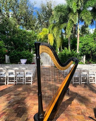 Weddings/ Proposals - Adding a touch of magic and serenity to your special day with beautiful harp music.