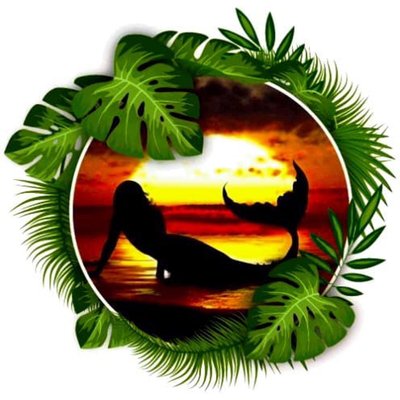 Take a Hike Oahu - Private and small group sightseeing and hiking tours and beach adventure days Take a Hike Oahu - Private and small group sightseeing and hiking tours and beach adventure days