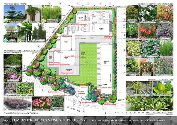 Landscape Design - As an experienced team of landscapers, we have an intricate knowledge of horticulture, and the processes and procedures of landscaping. From container gardens to large scale projects, we transform the ordinary into the extraordinary. We provide landscape design for private residences, as well as commercial properties, HOA's, and condo associations. Landscape Design - As an experienced team of landscapers, we have an intricate knowledge of horticulture, and the processes and procedures of landscaping. From container gardens to large scale projects, we transform the ordinary into the extraordinary. We provide landscape design for private residences, as well as commercial properties, HOA's, and condo associations.