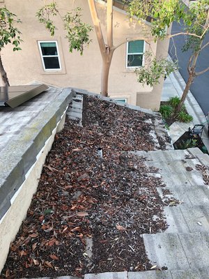 Roof & Gutter Cleaning San Marcos - Roof and gutters has a lot of organic debris in/on not allowing water to drain away from the house in the ways it was supposed to.

High risk for Home Owners and can lead to severe damage and loss.