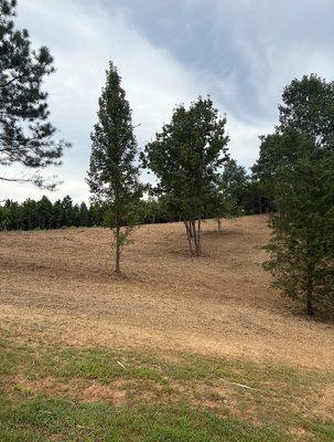 Forestry Mulching job in Asheboro - We cleared and mulched this 3-acre property to open up fresh pasture space for horses and a new barn. Turning overgrown land into usable, functional space is what we do best.
From overgrown to ready-for-build, we can help you turn your land into usable space for whatever you need. Forestry Mulching job in Asheboro - We cleared and mulched this 3-acre property to open up fresh pasture space for horses and a new barn. Turning overgrown land into usable, functional space is what we do best.
From overgrown to ready-for-build, we can help you turn your land into usable space for whatever you need.