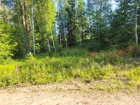 Land clearing for custom home - This customer has a raw piece of land tucked back in off a main road that provides them such a perfect amount of peace and seclusion while still being close enough to town to give easy access! This land was covered with tree's and undergrowth, preventing the customers from developing their vision. When we cleared the tree's, we were able to help them see the potential of this amazing property to design their new forever home. Land clearing for custom home - This customer has a raw piece of land tucked back in off a main road that provides them such a perfect amount of peace and seclusion while still being close enough to town to give easy access! This land was covered with tree's and undergrowth, preventing the customers from developing their vision. When we cleared the tree's, we were able to help them see the potential of this amazing property to design their new forever home.