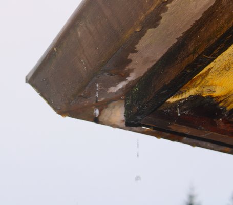 Gutter Repair - Are you looking for high-quality gutters for your home? Whether you need to replace your old, dingy gutters or you need a brand-new gutter system installed on your property, the experts at High Point Gutter are here to help. We offer a wide variety of state-of-the-art seamless gutters in an array of styles to perfectly match your home’s look in Snohomish County, WA and the surrounding areas, including King County. We have everything you’re looking for from aluminum gutters to fascia gutters. All our High Point Gutter trucks are outfitted to provide a trustworthy 10-year installation warranty and a 20-year manufacturer warranty on services and products. Reach out to our team today to learn more about our professional gutter replacement and gutter installation services! Gutter Repair - Are you looking for high-quality gutters for your home? Whether you need to replace your old, dingy gutters or you need a brand-new gutter system installed on your property, the experts at High Point Gutter are here to help. We offer a wide variety of state-of-the-art seamless gutters in an array of styles to perfectly match your home’s look in Snohomish County, WA and the surrounding areas, including King County. We have everything you’re looking for from aluminum gutters to fascia gutters. All our High Point Gutter trucks are outfitted to provide a trustworthy 10-year installation warranty and a 20-year manufacturer warranty on services and products. Reach out to our team today to learn more about our professional gutter replacement and gutter installation services!