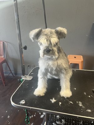 Haircut - Haircut before and after Haircut - Haircut before and after