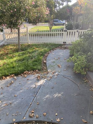 Garden cleaning And design - This house asked for garden design ideas and weed cleaning was also added mulching It really looked incredibleAnd the client was very happy Now cleaning maintenance will be given month by month Garden cleaning And design - This house asked for garden design ideas and weed cleaning was also added mulching It really looked incredibleAnd the client was very happy Now cleaning maintenance will be given month by month