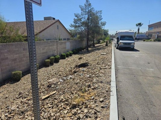 Dead Tree Removal - This storage unit business had over 10 dead trees that needed removal. We came in and cleaned it up and made the property look neat.