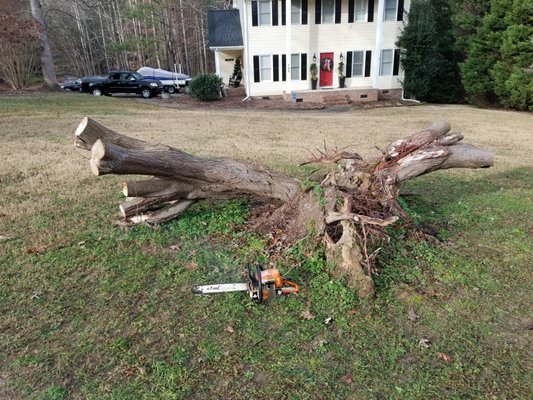 Stump removal - The homeowner was thrilled to have this stump removed from the front yard. Stump removal - The homeowner was thrilled to have this stump removed from the front yard.