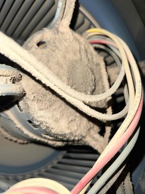 Blower Wheel & Motor Cleaning - This is an example of a blower wheel & motor cleaning included in our Maintenance+ VIP Membership.