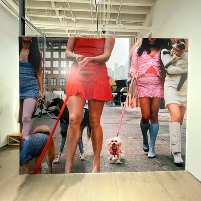 Vinyl Wall Graphics - Large format printing on self adhesive vinyl mounted on wall