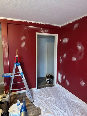 Living room remodel 2025 - Customer wanted popcorn removed from ceilings and wanted to knock down also with living room wall repairs and fresh new color,, Living room remodel 2025 - Customer wanted popcorn removed from ceilings and wanted to knock down also with living room wall repairs and fresh new color,,