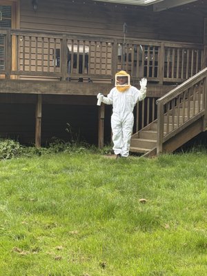 Wasp Removal - The customer discovered this wasp nest on their deck after noticing a lot of buzzing nearby. Fortunately, no one was stung before we were able to remove it safely.