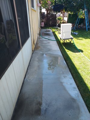 Mold removal in Glendora - A client's backyard needed mold removed from the concrete floor and removed from the wall.