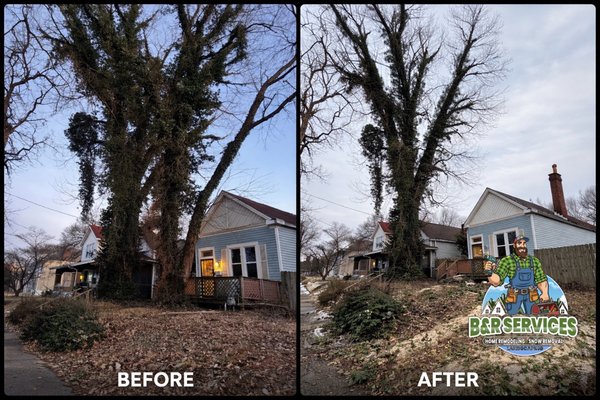 3 big trees - Working on 3 big trees in Louisville