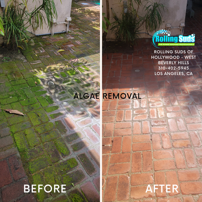 Organic Stain Removal - This house, like many others in the area, has never been cleaned. The recent rain has reacted with the dirty surfaces to cause an explosive growth of algae, mold and moss throughout their patio. We detailed the patio surface which included algae removal and a power wash service. Organic Stain Removal - This house, like many others in the area, has never been cleaned. The recent rain has reacted with the dirty surfaces to cause an explosive growth of algae, mold and moss throughout their patio. We detailed the patio surface which included algae removal and a power wash service.