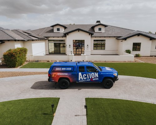 #1 Rated Termite Control - Schedule your FREE inspection today and see why ACTION is Arizona’s top choice for termite control.

We protect thousands of homes across the state each year with industry-leading service and proven expertise. Our tenured technicians and commitment to excellence have made us a trusted name in termite protection.

As the official pest control provider and proud partner of the Phoenix Suns, ACTION sets the standard for quality and results.