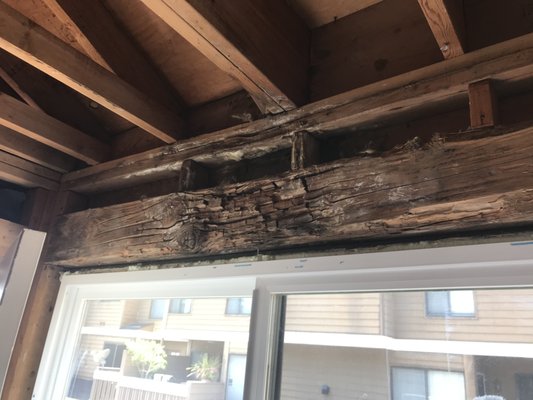 Termite/Dry Rot Damage Repair - Before and after dry rot repair. The Termite Guy is a licensed General Contractor. We have our own wood repair crew. Call 877-termite or 877-837-6483 for more information! Termite/Dry Rot Damage Repair - Before and after dry rot repair. The Termite Guy is a licensed General Contractor. We have our own wood repair crew. Call 877-termite or 877-837-6483 for more information!