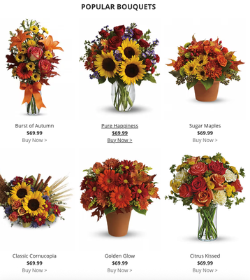 Seasonal flower arrangements - Seasonal flowers (currently fall) Seasonal flower arrangements - Seasonal flowers (currently fall)