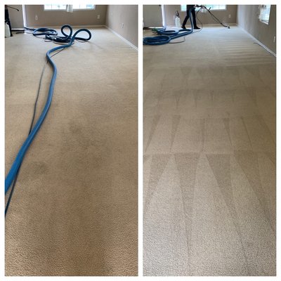 Heavy Soiled carpet with pet stains - This cleaning was done on a heavily soiled carpet with pet stains. Using our deep scrubbing method, we were able to remove most of the stains. The carpet looked amazing after the cleaning
