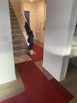 Home and Furniture Protection - Our team takes great pride to protect your household goods and home! Home and Furniture Protection - Our team takes great pride to protect your household goods and home!