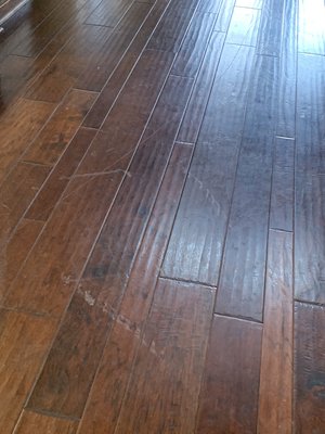 Wood Floor Cleaning in Chappell Hill 2024 - This cleaning was for a customer out in Chappell Hill, Tx. They moved out and out there house up for sell. The realtor said potential buyers were not liking the look of the wood floors and asked for them to be refinished. They did not need refinished just a deep cleaning. The sellers, realtors, and new buyers were very happy with the floors.