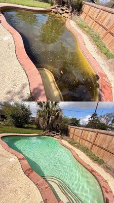Residential Pool Recovery - This pool was heavily contaminated with algae, debris, and unbalanced chemicals.

Here’s what we did:
✔️ Drained and removed debris
✔️ Full algae treatment (green-to-clean process)
✔️ Brushed walls, steps, and tile line
✔️ Vacuumed and cleaned the entire pool
✔️ Balanced chemicals (chlorine, pH, alkalinity)
✔️ Filter/system check to ensure proper circulation

Now it’s clean, safe, and swim-ready 🙌