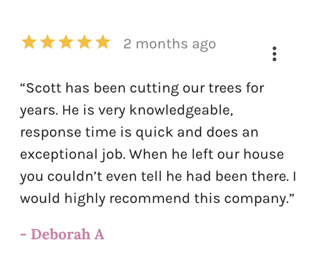 Five Star Reviews - Give us a call to get your trees in shape for hurricane season! Free estimates , senior citizens discount, call today!