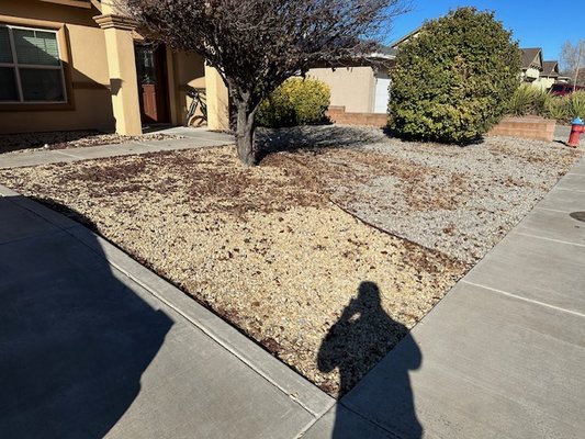 Leaf Blow Out - Leaves are almost completely fallen from the trees, schedule your free estimate today! Leaf Blow Out - Leaves are almost completely fallen from the trees, schedule your free estimate today!
