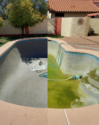 Green to Clean Services - At Big George’s, we can assess why the pool turned green, fix that, and get the pool back in shape. Often in as little as 3 days! With extensive chemistry knowledge, we can not only clean your green pool but keep it from happening again. Call today since once a pool turns green it can get a lot worse very fast! Green to Clean Services - At Big George’s, we can assess why the pool turned green, fix that, and get the pool back in shape. Often in as little as 3 days! With extensive chemistry knowledge, we can not only clean your green pool but keep it from happening again. Call today since once a pool turns green it can get a lot worse very fast!