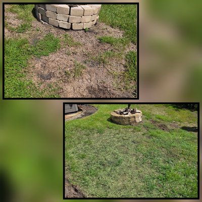 GRASS PAINTING - Grass Painting: Give your lawn an instant refresh! We professionally paint faded, brown, or dormant grass for a natural-looking, vibrant green finish—perfect for improving curb appeal without the cost of replacing your lawn. GRASS PAINTING - Grass Painting: Give your lawn an instant refresh! We professionally paint faded, brown, or dormant grass for a natural-looking, vibrant green finish—perfect for improving curb appeal without the cost of replacing your lawn.