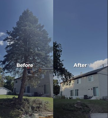 Multiple pictures from various jobs completed. - Call us today for a free quote! Multiple pictures from various jobs completed. - Call us today for a free quote!