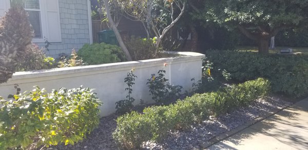 Exterior paint - A ;ittle touch up with fresh stucco paint makes your house look new and welcoming Exterior paint - A ;ittle touch up with fresh stucco paint makes your house look new and welcoming