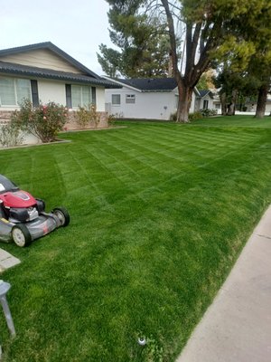 Landscaping Services - My name is Mike, we can help with your project, we do different work, we prune trees and palms and we install irrigation for new plants and valves and much more and we do our work with great quality and love.