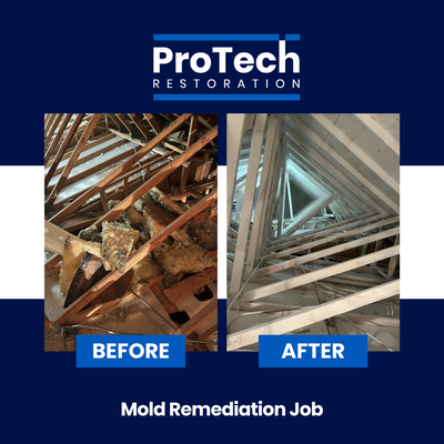 Water & Mold Damage - Water damage cleanup and mold remediation in residential properties. Our number one objective is to help our customers restore their home back to the way it should be.
We work directly with all insurance providers and help you navigate through the claim process. Water & Mold Damage - Water damage cleanup and mold remediation in residential properties. Our number one objective is to help our customers restore their home back to the way it should be.
We work directly with all insurance providers and help you navigate through the claim process.