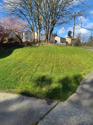 Weekly Mowing/Spring Cleanup - This was a grass cutting and spring cleanup service completed Spring 2022. I sweat so you don't have to!