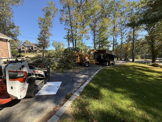 Tree removal - This project included the removal of a fallen tree, cutting and hauling away all debris, stump and root removal, and backfilling the area with soil. The property was cleaned and left in good condition after completion.