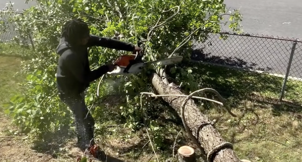Tree Services - Hanging branches and overgrown limbs can be dangerous. Let our pros trim your trees safely and efficiently.