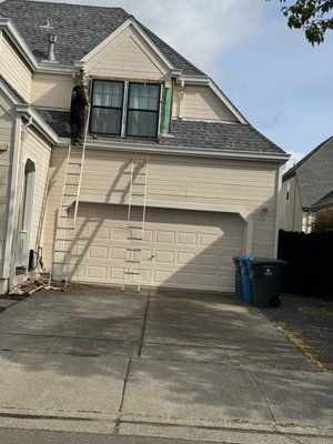 Dry Rot Repair. - This is the second part of the dry rot repair. Dry Rot Repair. - This is the second part of the dry rot repair.