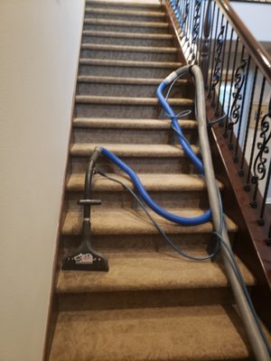 carpet cleaning - This stairs has so many stains and pee odors problems, Our professional services was able to remove all stains and pee odors carpet cleaning - This stairs has so many stains and pee odors problems, Our professional services was able to remove all stains and pee odors