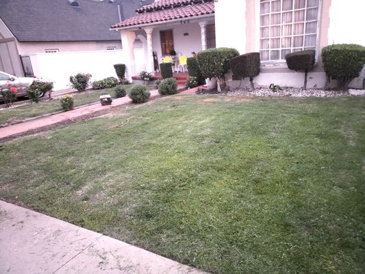 Standard Mow! - …This mow job was done for our deer sweet friends and we wish that many blessings! We love to make the space look great, but even more we love an atmosphere that radiates vibrant energy!