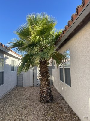 Tree Removal - We enjoy and take the time to do our job right so you don’t have to worry about it ! Complete tree and root removal Tree Removal - We enjoy and take the time to do our job right so you don’t have to worry about it ! Complete tree and root removal