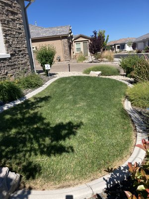 Lawncare - Mowing, edging and trimming - These two Reno homeowners simply needed regular routing lawnmowing every two weeks. Their busy lifestyle prevented them from keeping up with long growth. Our routine lawncare included trimming, cutting, weeding in the turf, and hauling away the clippings, for a worry-free lawn. Lawncare - Mowing, edging and trimming - These two Reno homeowners simply needed regular routing lawnmowing every two weeks. Their busy lifestyle prevented them from keeping up with long growth. Our routine lawncare included trimming, cutting, weeding in the turf, and hauling away the clippings, for a worry-free lawn.