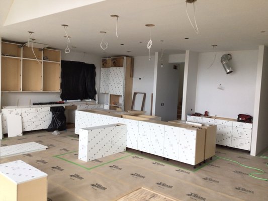 Ann Arbor Kitchen Project - Large kitchen Project