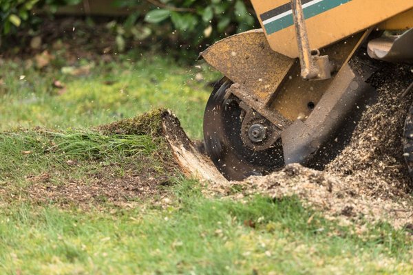 Stump Removal - Call for a Free Estimate