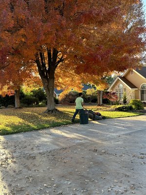 Lawn Maintenance - Lawn Maintenance