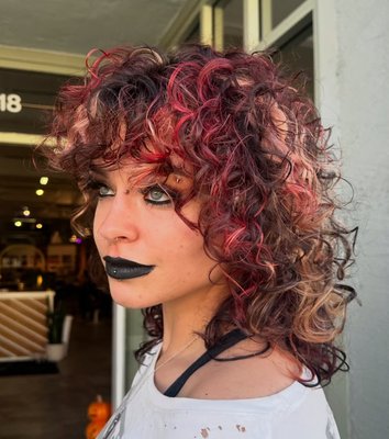 Book now with Daisy! - Book now with Daisy, our alternative haircutting and coloring specialist.
