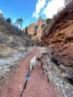 Pack Hike - Our Hikes will take place at a local Colorado Springs/Manitou trail. The hike will last approximately 90 minutes with plenty of water and healthy treats along the way. Pack hikes will be on-leash and will range anywhere from 2-4 dogs in the pack. Pack Hike - Our Hikes will take place at a local Colorado Springs/Manitou trail. The hike will last approximately 90 minutes with plenty of water and healthy treats along the way. Pack hikes will be on-leash and will range anywhere from 2-4 dogs in the pack.