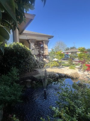 Japanese Tea Garden - This project was initiated after a visit to the Japanese Tea Gardens in San Francisco. The experience of walking through the gardens with its majestic trees, winding paths, and water features was truly awe-inspiring. We were particularly struck by the peaceful ambiance created by the sounds of the water features, which seemed to transport us to a different world.

To capture this serene atmosphere in our project, we decided to incorporate water features into our design. We carefully selected the water features to ensure they are in harmony with the surrounding landscape and create a calming environment. Our goal is to create a space where people can come to relax, unwind, and connect with nature.

As we work on this project, we are mindful of the impact that nature has on its surroundings. We have carefully chosen evergreens and colorful maples to surround the water features, and we are excited to see how they will grow and evolve over time. Our hope is that this project will not only provide a peaceful retreat for visitors but also serve as a testament to the beauty and power of nature.