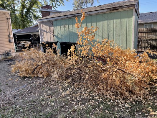 Yard Clean Out - Junk Removal - Yard Clean Out  - Another happy customer in Salina, Kansas.
☎️ (785)787-7564
✅ Free estimates 
✅ Same-day or Next-day service 
✅ License & Insured
✅ 5 star reviews ⭐️⭐️⭐️⭐️⭐️